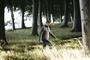 mikael persbrandt dans les bois