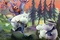 les moomins