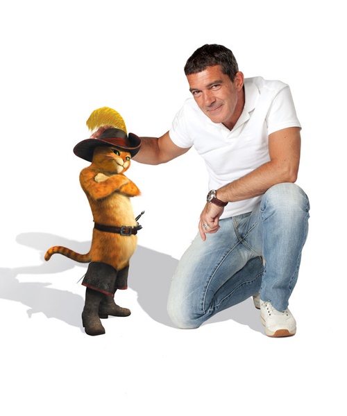 banderas-est-le-chat-potte-jpg
