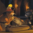 complot-de-chats-jpg
