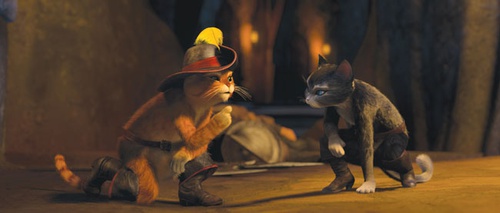 complot-de-chats-jpg