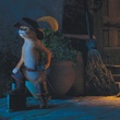 kitty-et-le-chat-potte-jpg
