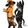 kitty-et-le-chat-potte-jpg