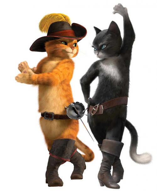 kitty-et-le-chat-potte-jpg
