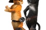 kitty-et-le-chat-potte-jpg