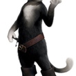 kitty-jpg