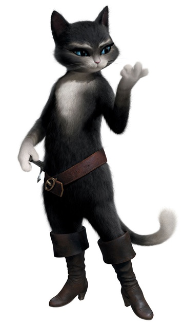 kitty-jpg