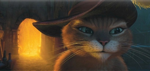 le-chat-heros-du-chat-potte-jpg