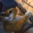 le-chat-potte-2-jpg