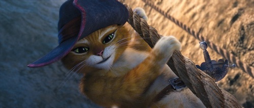 le-chat-potte-2-jpg