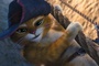 le-chat-potte-2-jpg