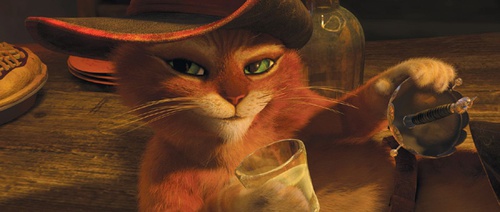 le-chat-potte-2-jpg