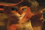 le-chat-potte-2-jpg