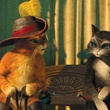 le-chat-potte-et-kitty-jpg