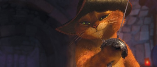 le-chat-potte-jpg
