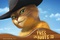 teaser-americain-le-chat-potte-jpg
