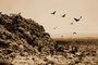 photo 9 du film waste land