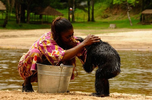 photo 12 du film bonobos