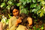 photo 14 du film bonobos