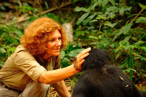 photo 15 du film bonobos