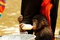 photo 16 du film bonobos