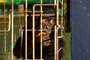 photo 2 du film bonobos