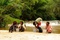 photo 3 du film bonobos