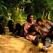 photo 6 du film bonobos