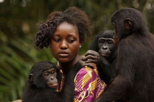 photo 9 du film bonobos