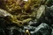after-earth-poster-teaser-jpg