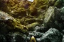 after-earth-poster-teaser-jpg