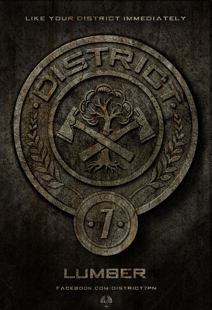 affiche-teaser-district-7-jpg