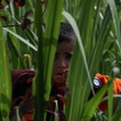 enfant-nature-jpg