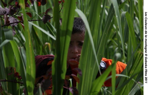 enfant-nature-jpg