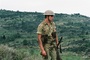 alon-oz-zehavi-jpg