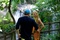 oliver-stone-blake-lively-jpg