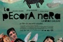 Affiche du film La Pecora nera (La Brebis Galeuse) 