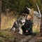 photo-3-du-film-siberie-monamour-jpg - Sibérie, Monamour 