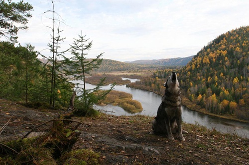 photo-8-du-film-siberie-monamour-jpg