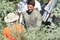 on-the-set-with-tom-cruise-png