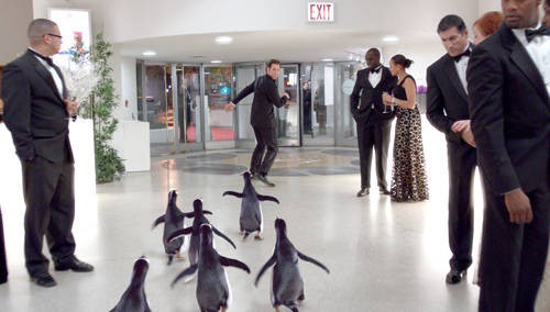 jim-carrey-suivi-par-ses-pingouins-jpg