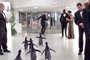 jim-carrey-suivi-par-ses-pingouins-jpg