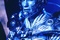 schwarzenegger-jpg