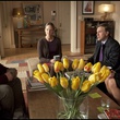 jodi foster et waltz christoph