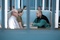 jean-pierre-bagot-philippe-torreton-jpg