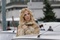 l-actrice-sandrine-kiberlain-jpg