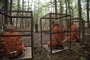 des-hommes-en-cage-jpg