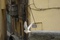 photo-16-du-film-acqua-in-bocca-jpg