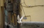 photo-16-du-film-acqua-in-bocca-jpg