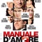 affiche-italienne-jpg - L'Amour a ses raisons  